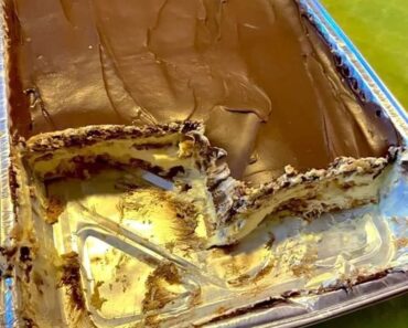 NO BAKE CHOCOLATE ECLAIR CAKE